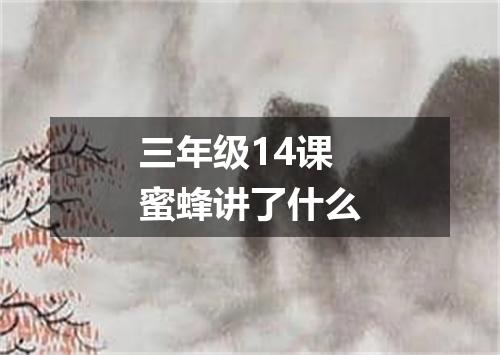 三年级14课蜜蜂讲了什么