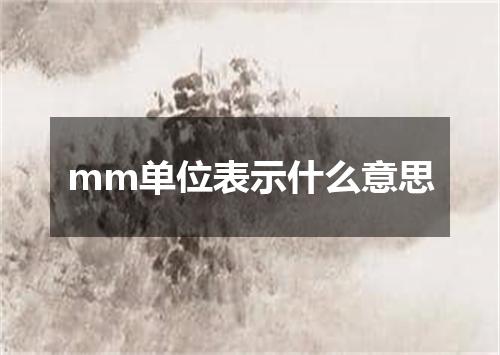 mm单位表示什么意思