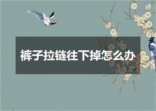 裤子拉链往下掉怎么办