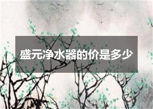 盛元净水器的价是多少