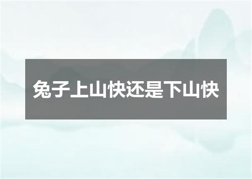 兔子上山快还是下山快