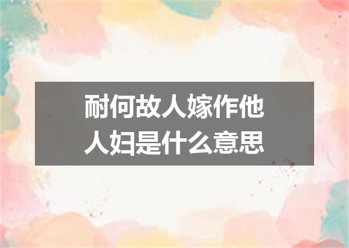 耐何故人嫁作他人妇是什么意思