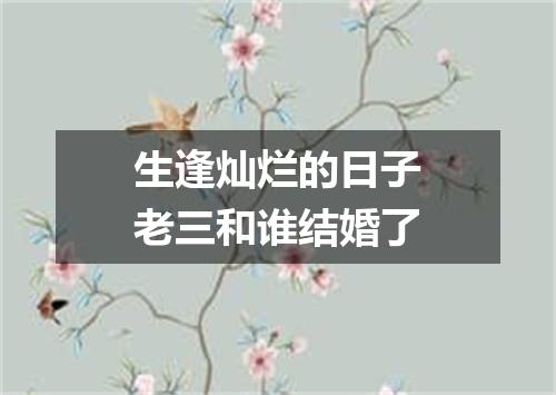 生逢灿烂的日子老三和谁结婚了