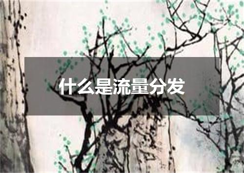 什么是流量分发
