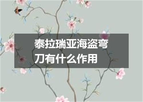 泰拉瑞亚海盗弯刀有什么作用