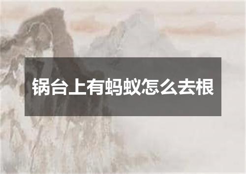 锅台上有蚂蚁怎么去根