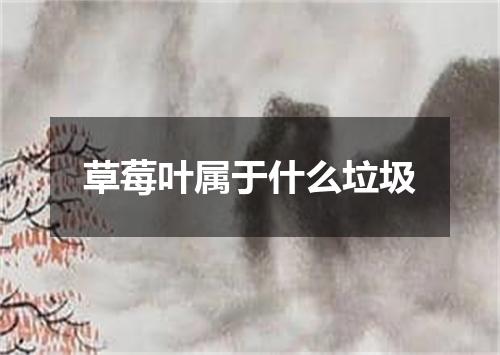 草莓叶属于什么垃圾