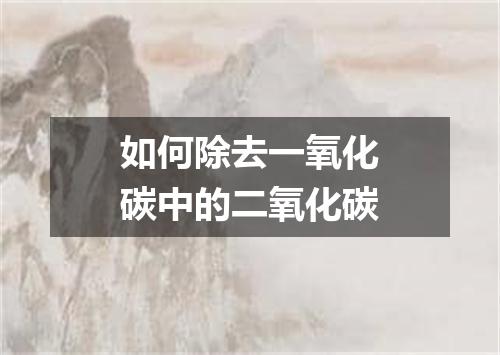 如何除去一氧化碳中的二氧化碳