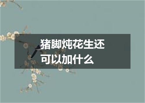 猪脚炖花生还可以加什么