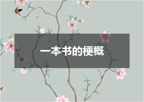 一本书的梗概