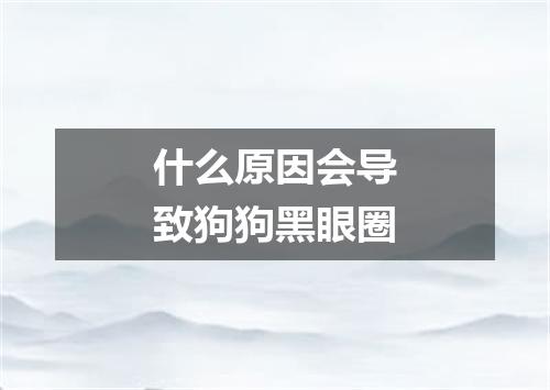 什么原因会导致狗狗黑眼圈