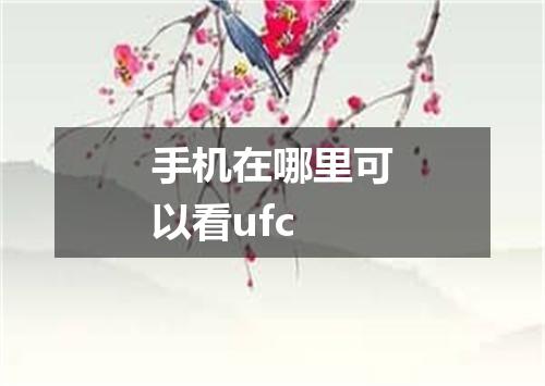手机在哪里可以看ufc