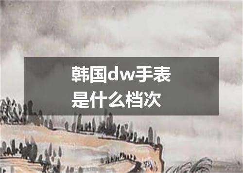 韩国dw手表是什么档次