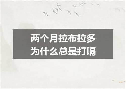 两个月拉布拉多为什么总是打嗝