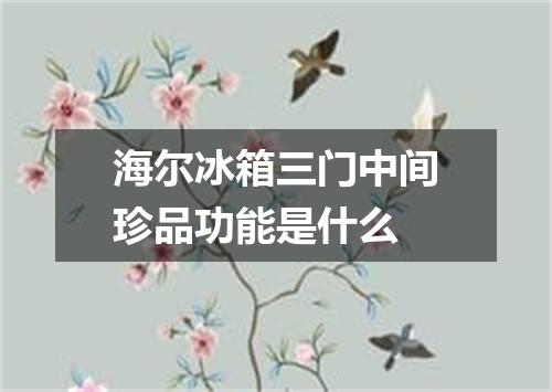 海尔冰箱三门中间珍品功能是什么