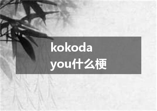 kokodayou什么梗
