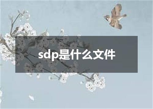 sdp是什么文件