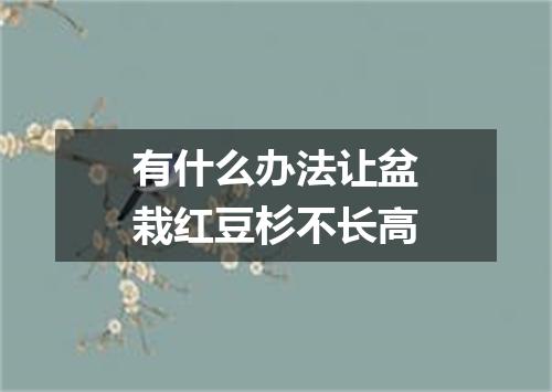 有什么办法让盆栽红豆杉不长高