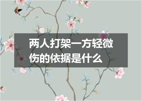 两人打架一方轻微伤的依据是什么