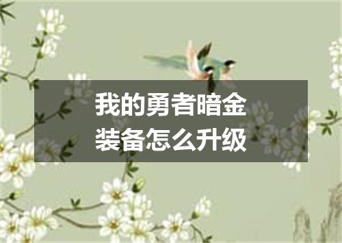 我的勇者暗金装备怎么升级