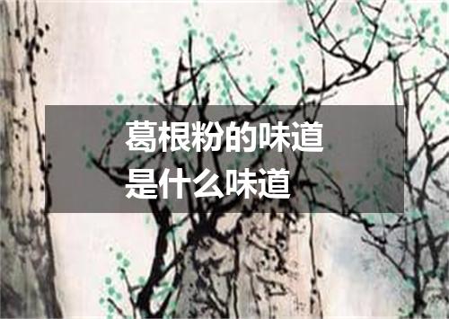 葛根粉的味道是什么味道