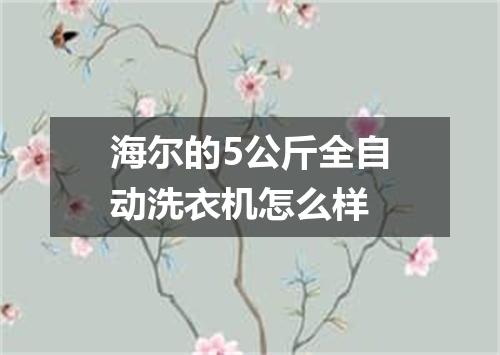海尔的5公斤全自动洗衣机怎么样