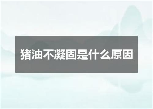 猪油不凝固是什么原因