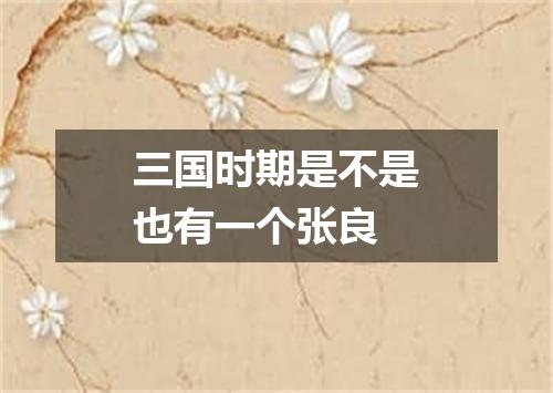 三国时期是不是也有一个张良