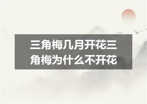 三角梅几月开花三角梅为什么不开花