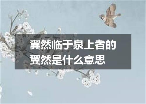 翼然临于泉上者的翼然是什么意思