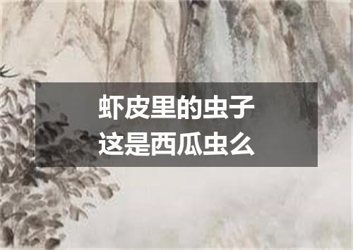 虾皮里的虫子这是西瓜虫么