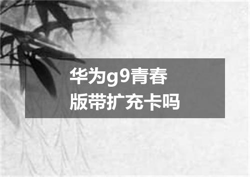 华为g9青春版带扩充卡吗