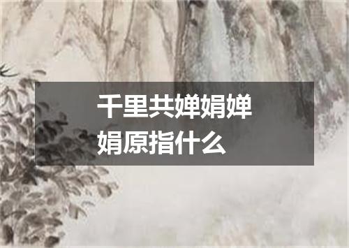 千里共婵娟婵娟原指什么