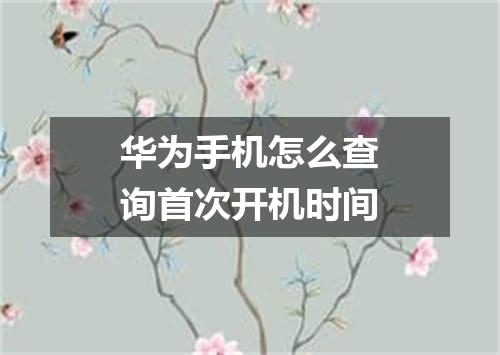 华为手机怎么查询首次开机时间