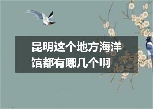 昆明这个地方海洋馆都有哪几个啊