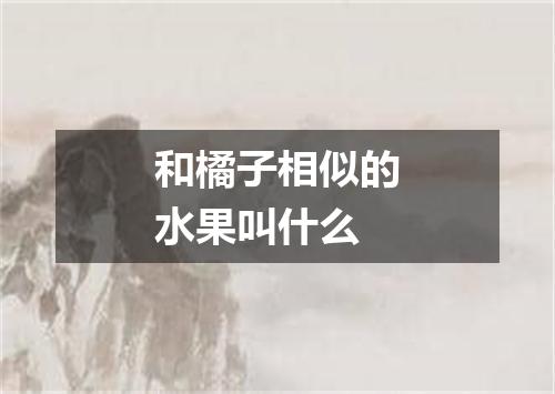 和橘子相似的水果叫什么