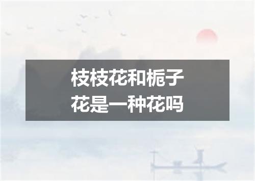 枝枝花和栀子花是一种花吗