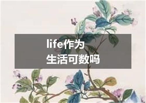 life作为生活可数吗