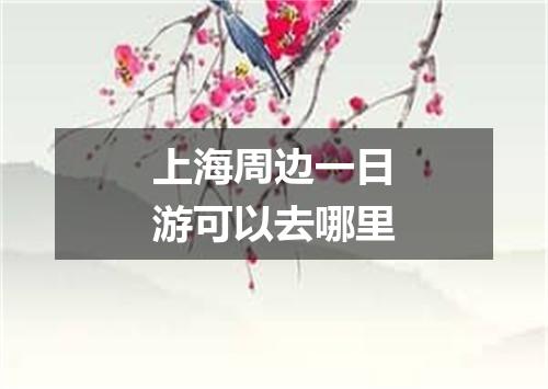 上海周边一日游可以去哪里