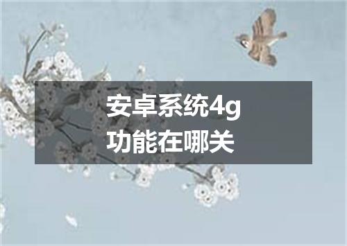 安卓系统4g功能在哪关