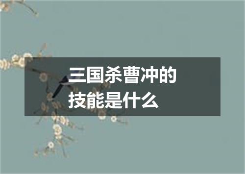 三国杀曹冲的技能是什么