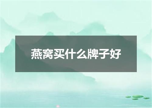 燕窝买什么牌子好