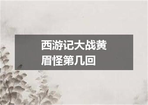 西游记大战黄眉怪第几回