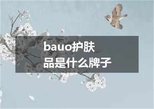 bauo护肤品是什么牌子