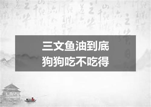 三文鱼油到底狗狗吃不吃得
