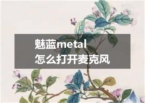 魅蓝metal怎么打开麦克风