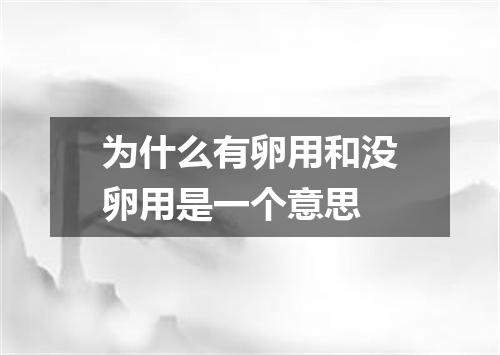 为什么有卵用和没卵用是一个意思