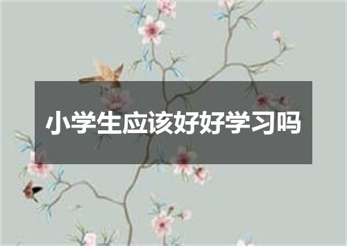 小学生应该好好学习吗