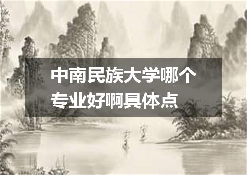 中南民族大学哪个专业好啊具体点