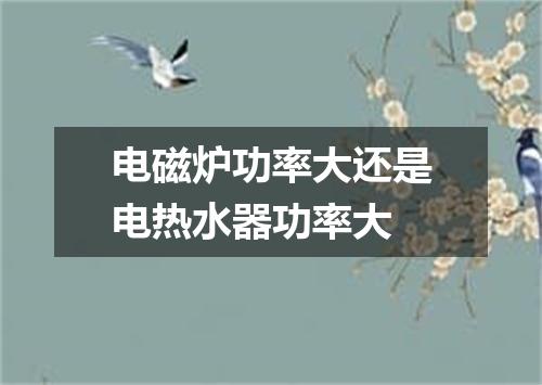 电磁炉功率大还是电热水器功率大